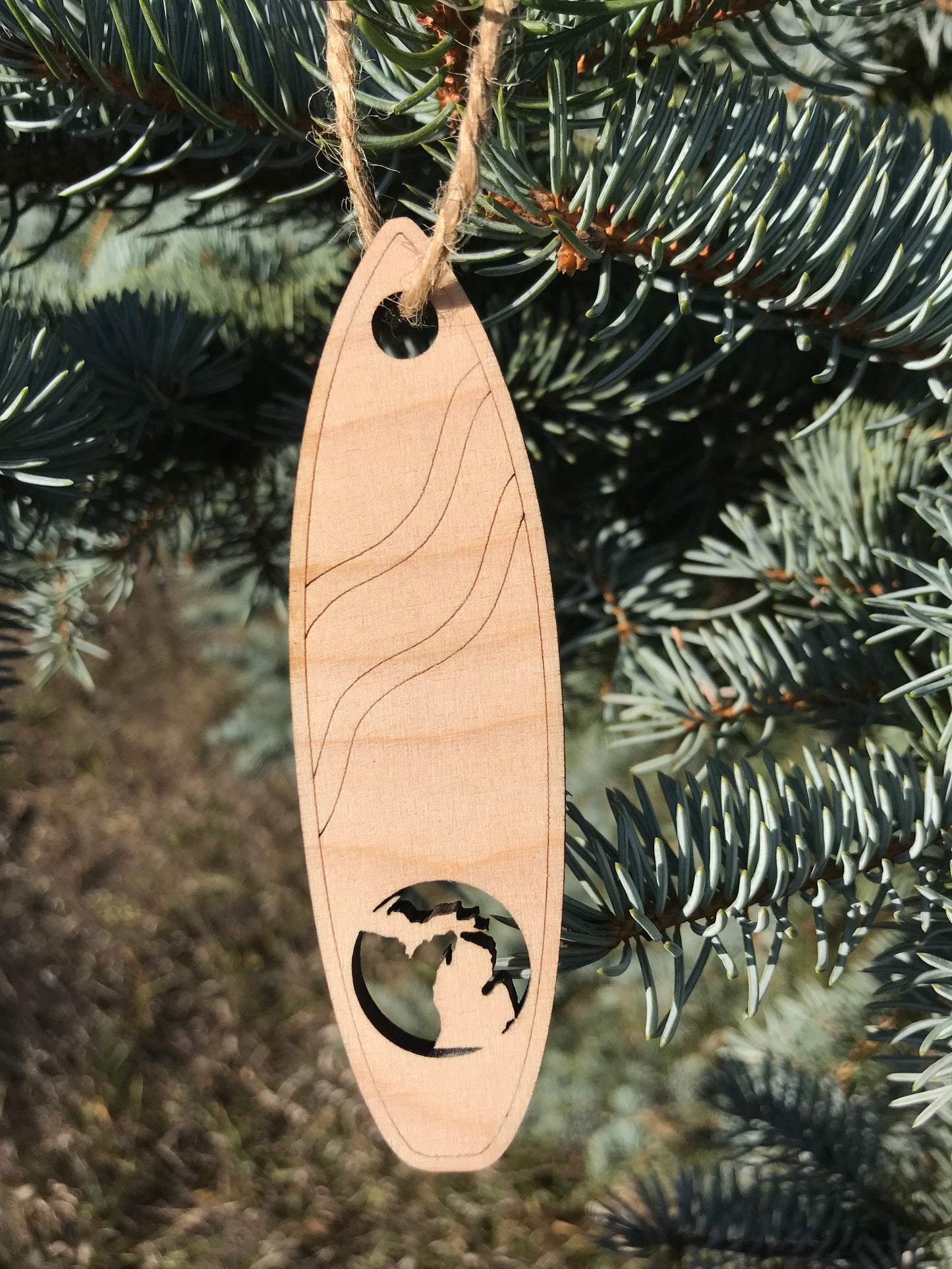Michigan Paddleboard