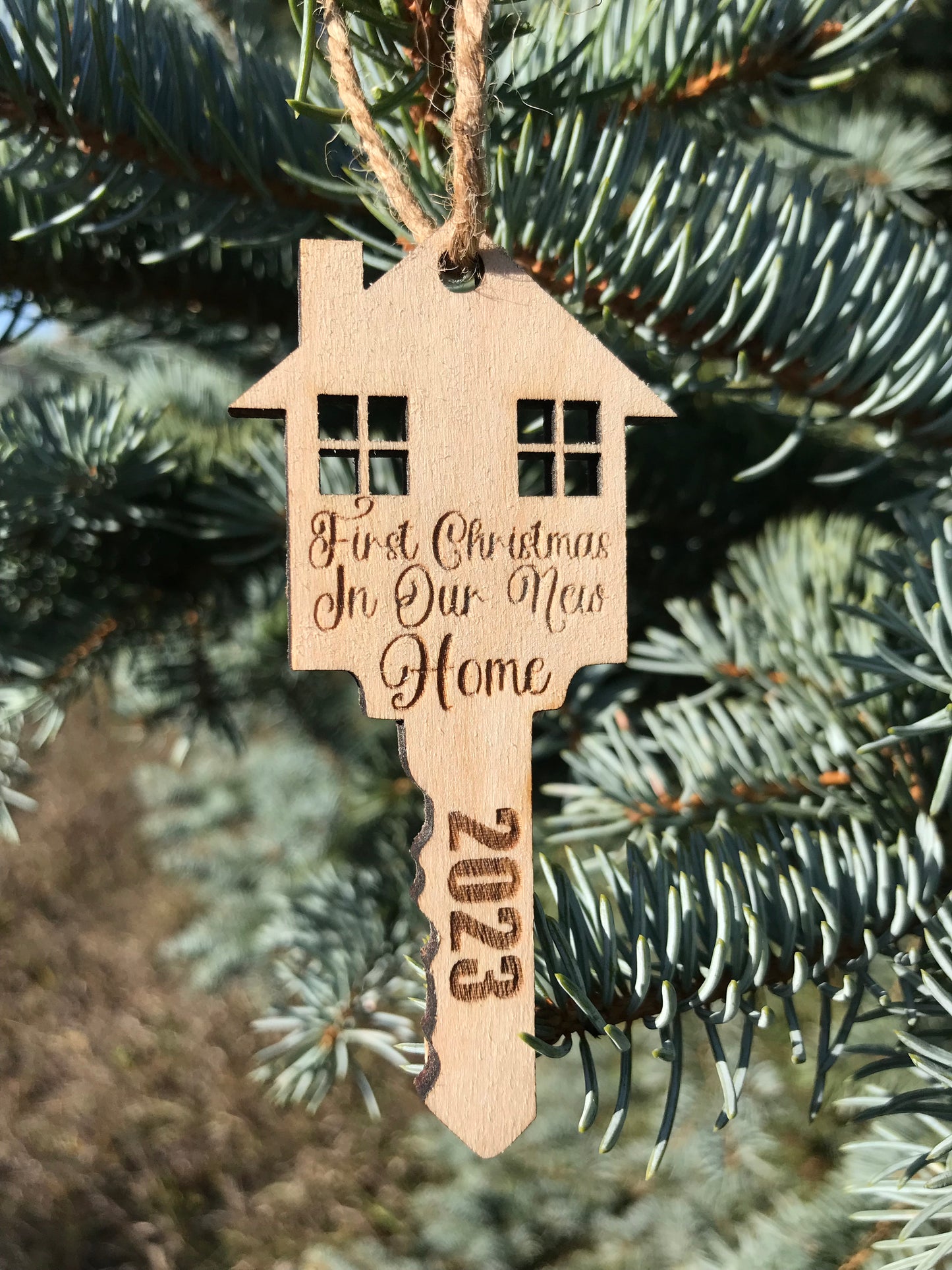 First Christmas in Our New Home