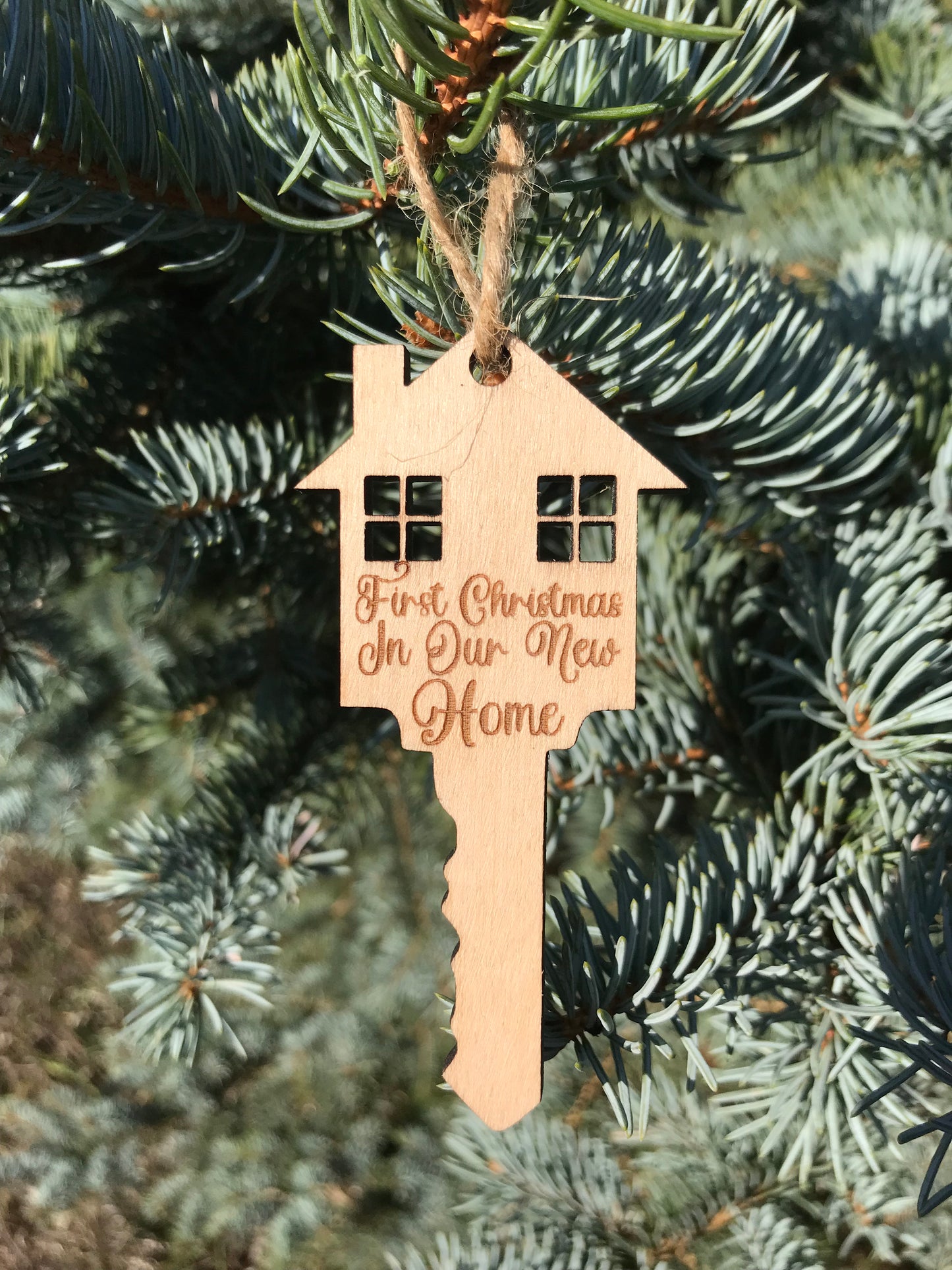 First Christmas in Our New Home