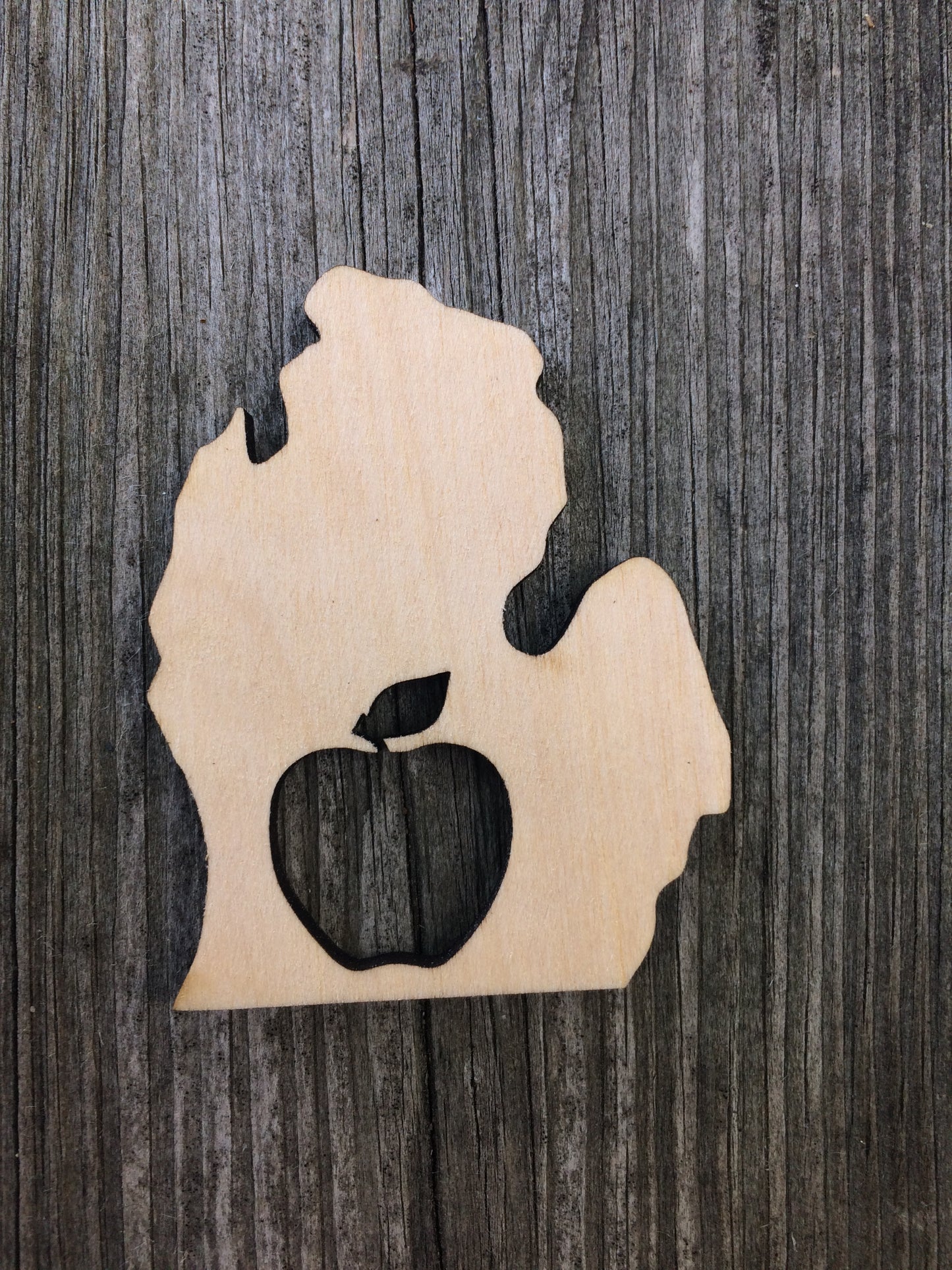 Apple Michigan Magnet