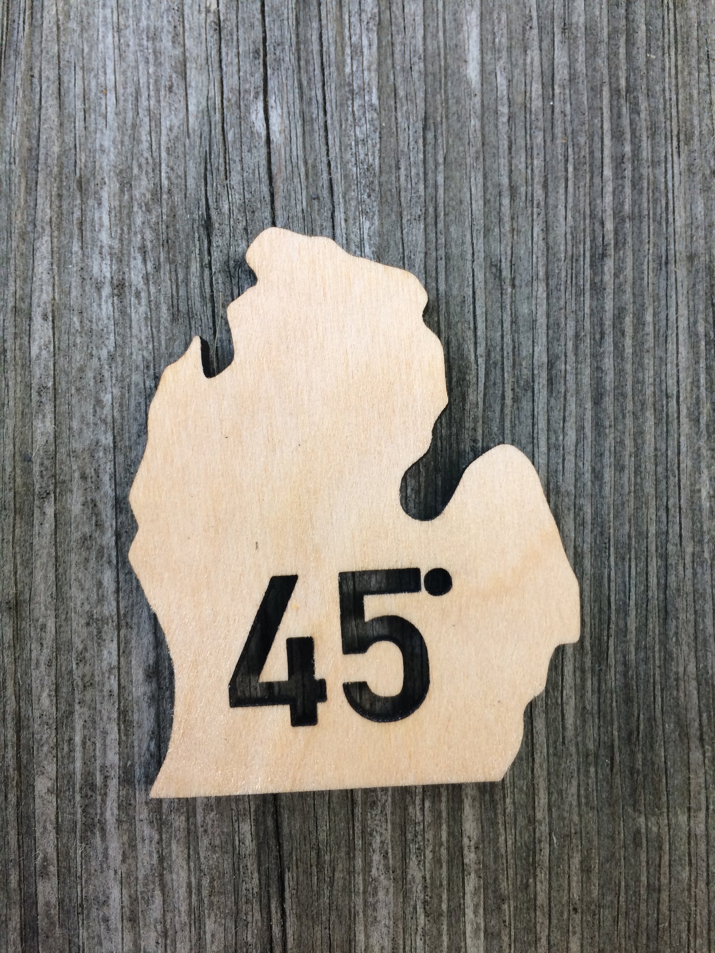 45° Michigan Magnet