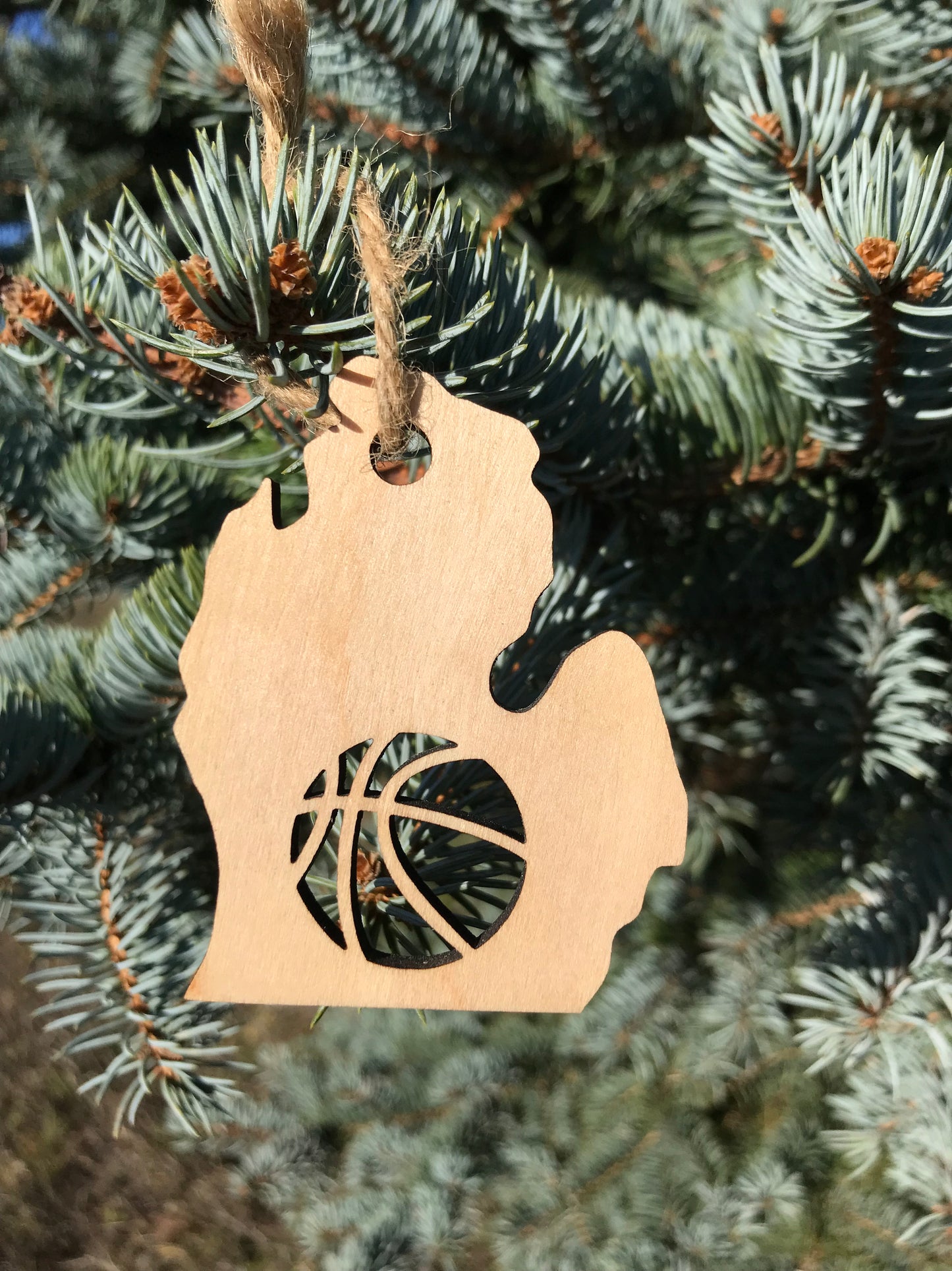 Michigan Sports Ornaments