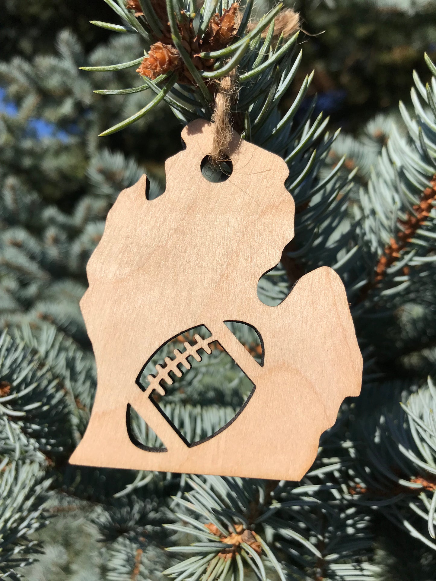 Michigan Sports Ornaments