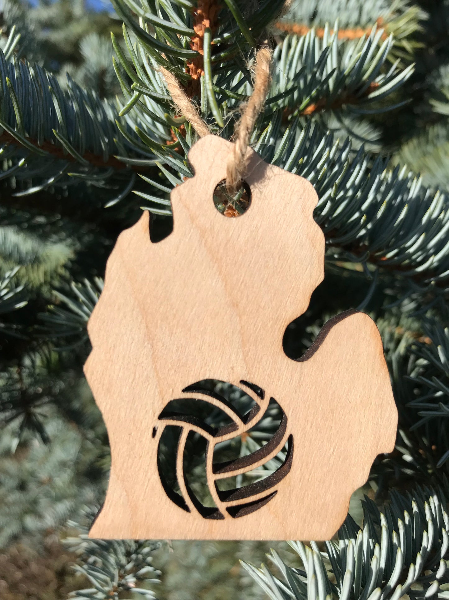 Michigan Sports Ornaments