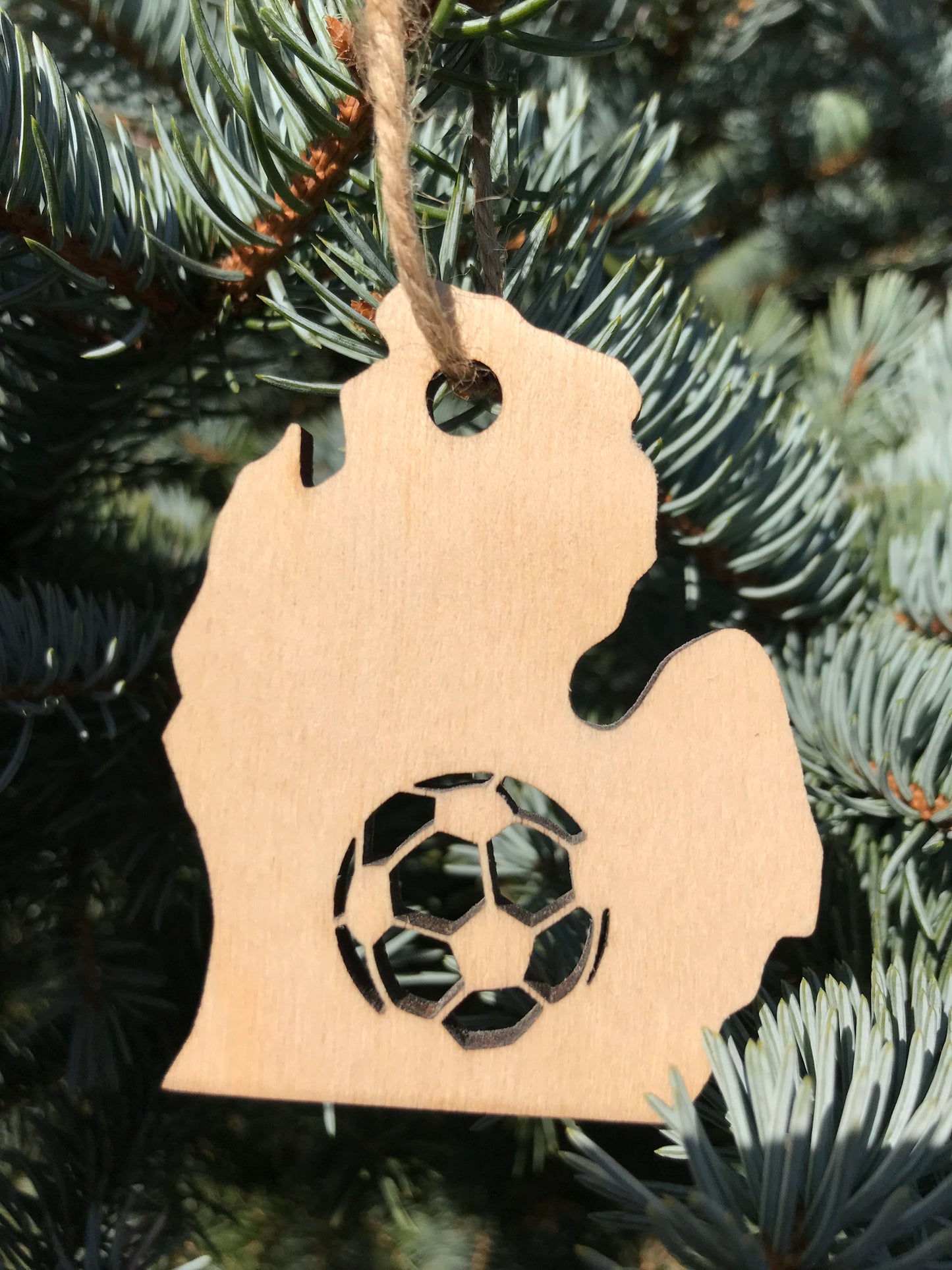 Michigan Sports Ornaments