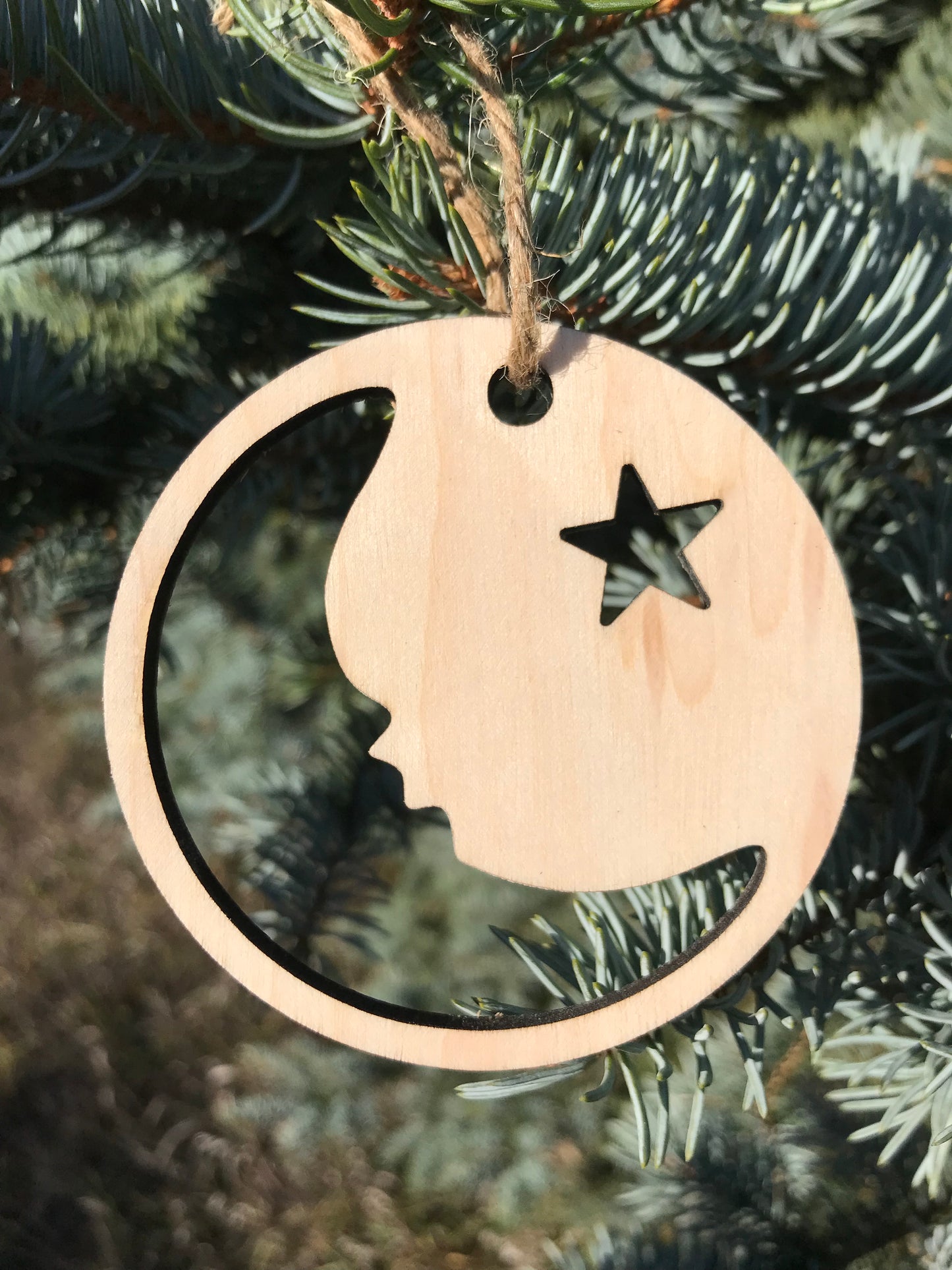 Moon & Stars Ornament